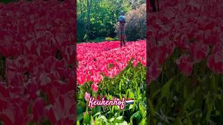 #keukenhof #spring #nature #covermusic #statue #netherlands #nederland