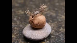 Tying a Tom Thumb dry fly