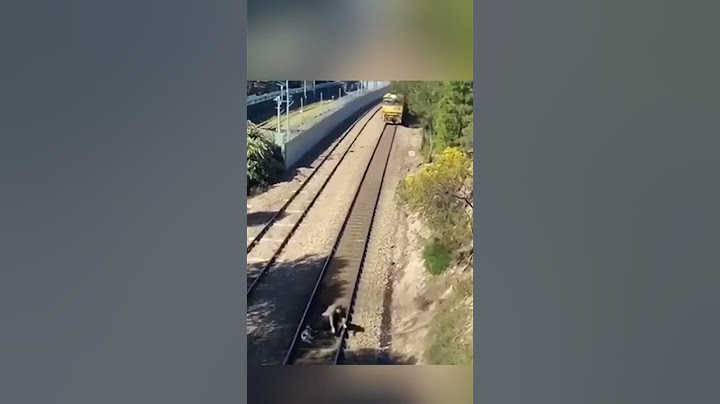 Man saves dog from moving train ❤️