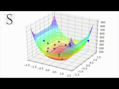 Inside VitaOptimum Library: Rosenbrock function Dynamic & Zoom
