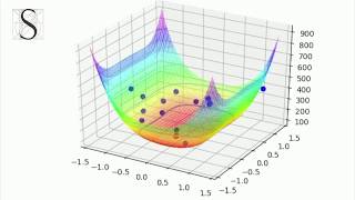 Inside VitaOptimum Library: Rosenbrock function Dynamic & Zoom