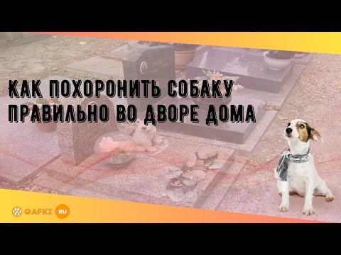 Как похоронить собаку правильно во дворе дома