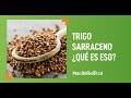 Aprende a cocinar el trigo sarraceno