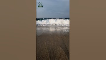 سورة الأحقاف • مكية • بصوت سعود الشريم | عدد الآيات: 35 #قرآن #Quran #تلاوة #قرآن_كريم #الأحقاف