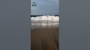 سورة الأحقاف • مكية • بصوت سعود الشريم | عدد الآيات: 35 #قرآن #Quran #تلاوة #قرآن_كريم #الأحقاف