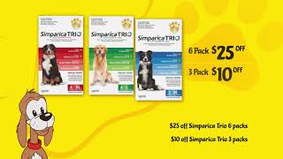 Pet City October TV Ad