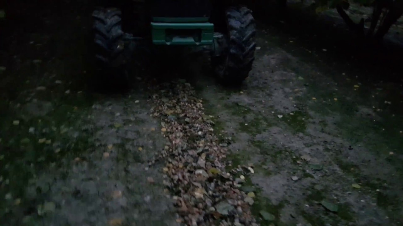 Zbiór orzechów laskowych 2016 Izdebno