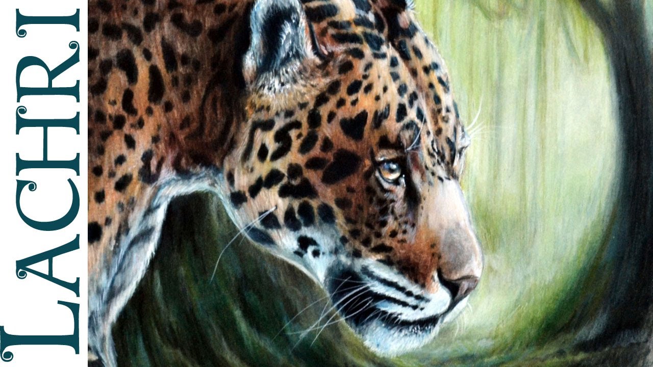 ⁣How to blend colored pencils with paint thinner - Jaguar full tutorial painting by Lachri