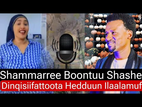 Sirbaa Ibroo Shammarree Boontuu Shashee Dinqisiifattoota Hedduun Iaaluun