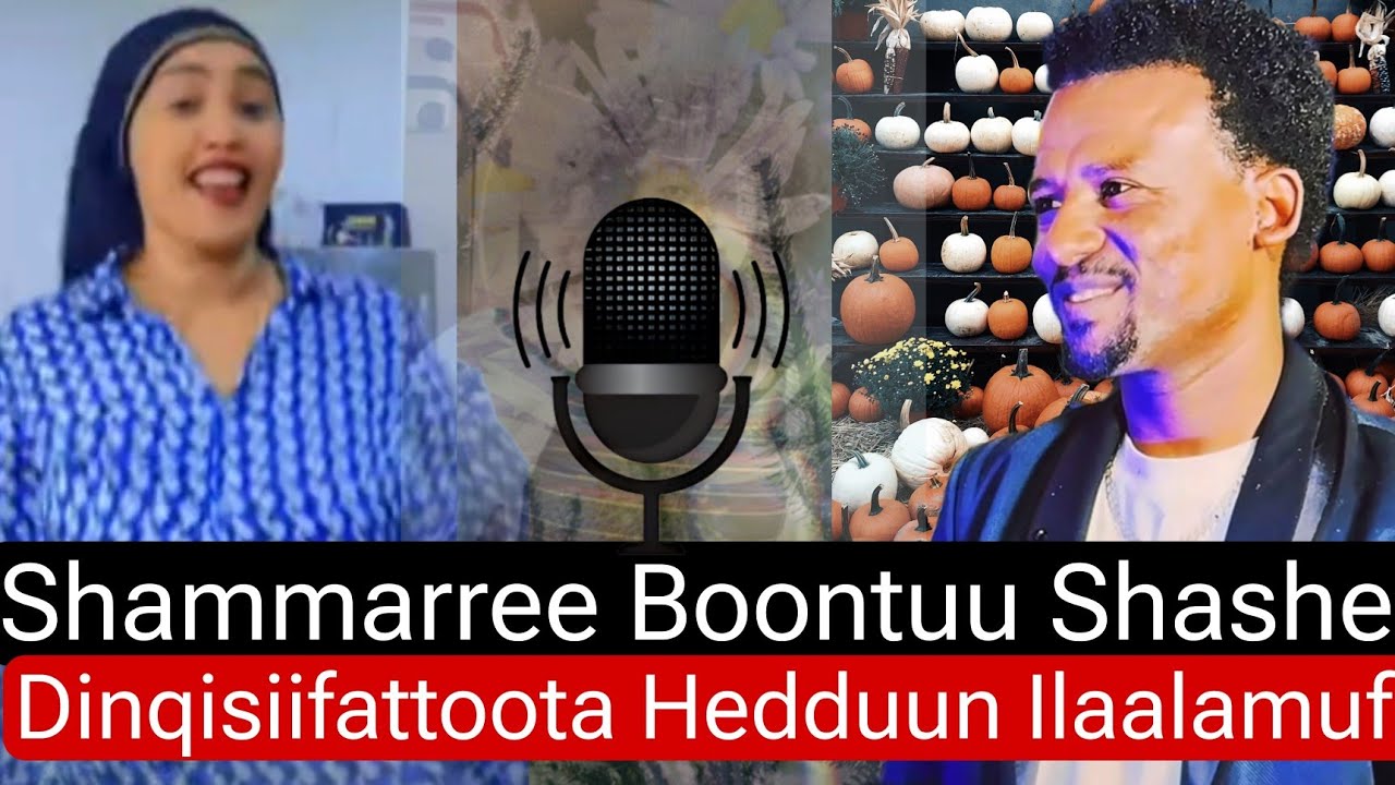 Sirbaa Ibroo shammarree Boontuu shashee Dinqisiifattoota Hedduun iaaluun ...