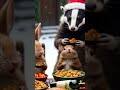 Wildlife Christmas Magic in the Cottage Garden | Winter Animals in a Festive Scene