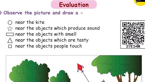 EVS|CLASS:1|UNIT: 2 |My Wonderful body| Book work|Evaluation