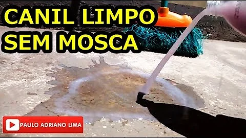 Qual produto usar para limpar canil?