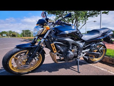 A LEGENDARY, the FAMOUS PAPA HORNET, Yamaha FZ6-N (Fazer 600