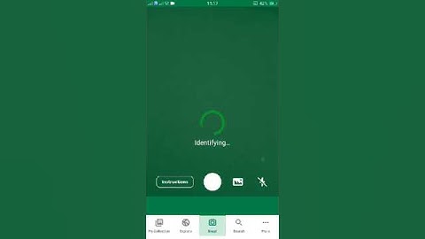 PlantSnap identifies a Spiny Amaranth (Amaranthus spinosus)