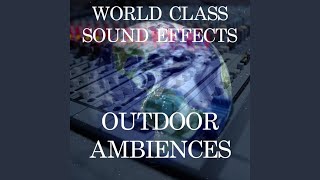 Traffic Sirens Police City Downtown Distant Backgrounds Atmosphere Ambience Sound Effects Sound...