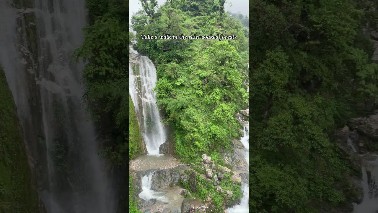 Monsoon Vibe at Seegreen Lodges, Hathipaon, Mussoorie 