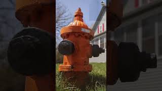 Celebrity This Is How Different Colored Fire Hydrants Serve Different Purposes Profile