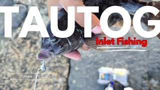 Tautog Fishing & Drone Flyover at Shark River Inlet | Fluke & Seabass Catches 🎣 NJ Jetty