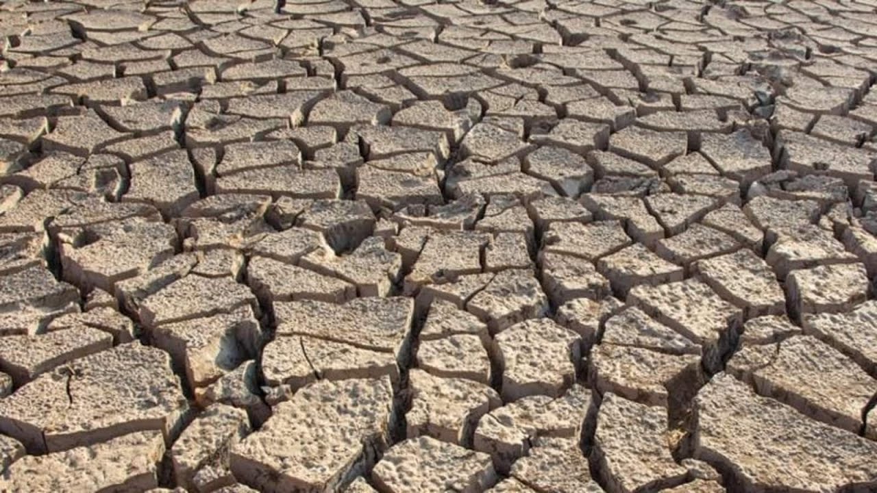 South Punjab is experiencing a severe water deficit | Pakistan News | NewsRme