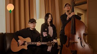 Download Lagu 重拾温柔夏夜 布朗尼 - Don't You｜homegrown music garden MP3