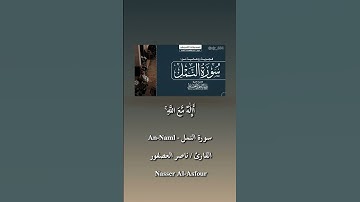 3| تلاوة القارئ ناصر العصفور من سورة النمل #قرآن #اكسبلور #المصحف #تيك_توك #لايك #ترند #quran