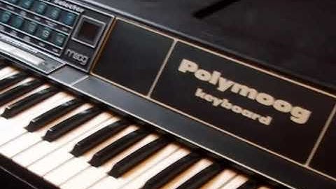 Polymoog