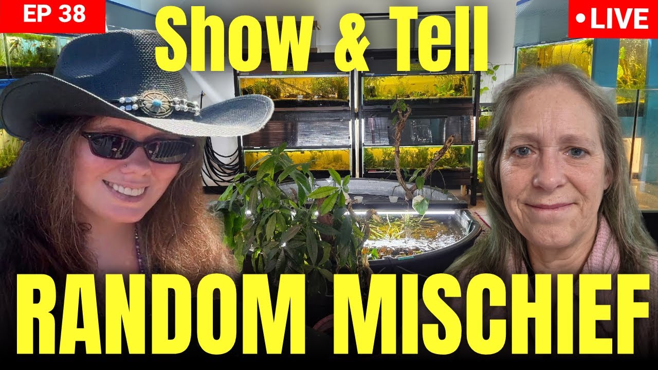Random Mischief Show and Tell Hangout - Show off your fish tanks, pets and hobbies - EP 38th