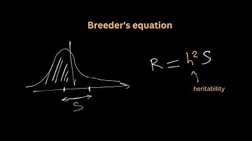 EvoBioCC Lecture on Evolutionary Quantitative Genetics