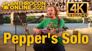 Pepper's Solo — Anthrocon Online 2021