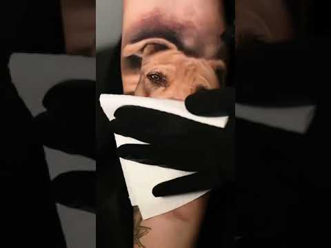 Pitbull Tattoo