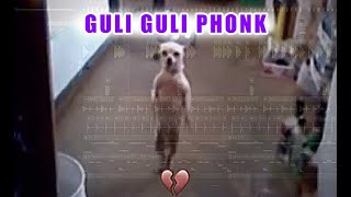 Lingang Guli Guli  Slowed Reverb Phonk