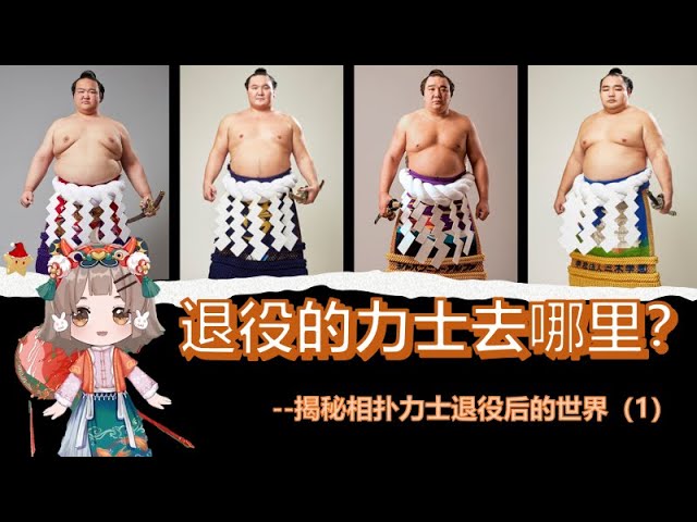 相撲最強大佬29次大战，669胜朝青龍vs1183胜白鵬，誰才是第一橫綱