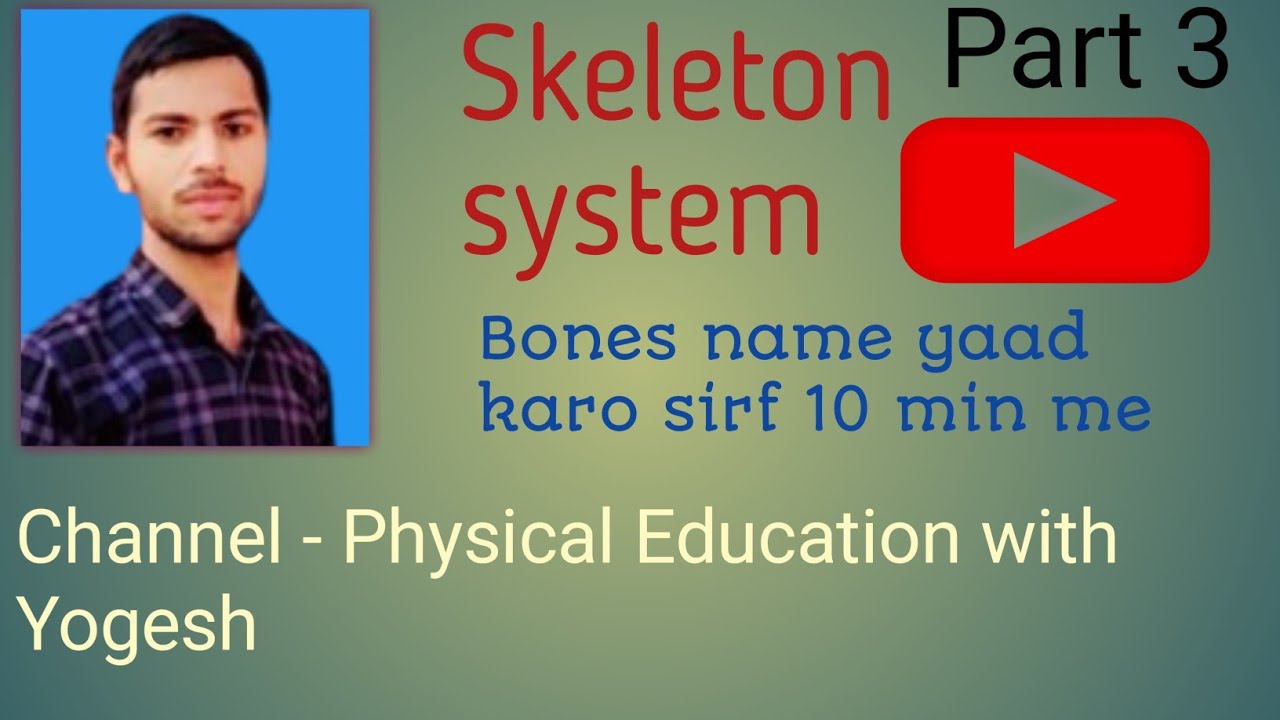 Skeleton system part 3