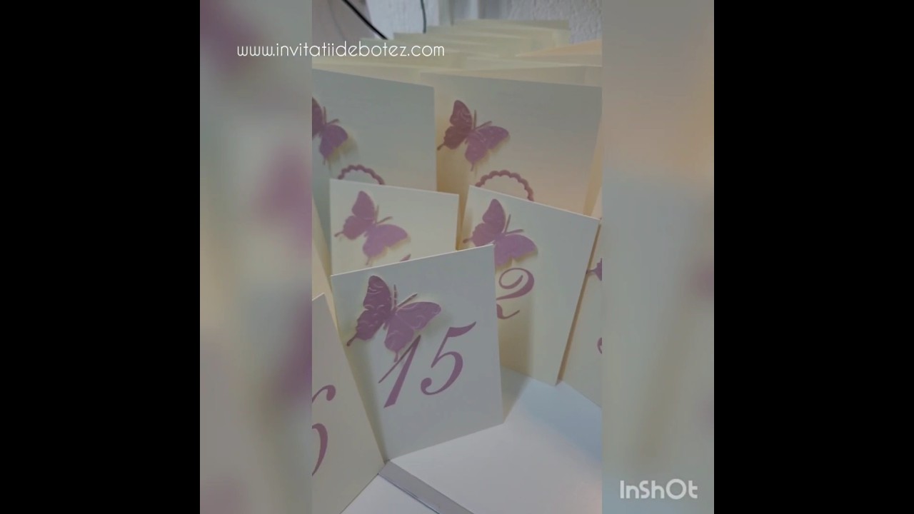 Papetarie de botez cu fluturasi roz antic 