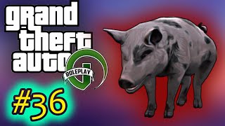 GTA 5 RP |📺 | #36 | DÉNES TESZT |🐷 MAZSOLA TÖRTÉNETE ÉS AZ ⚖️ IGAZSÁG 🐖 |