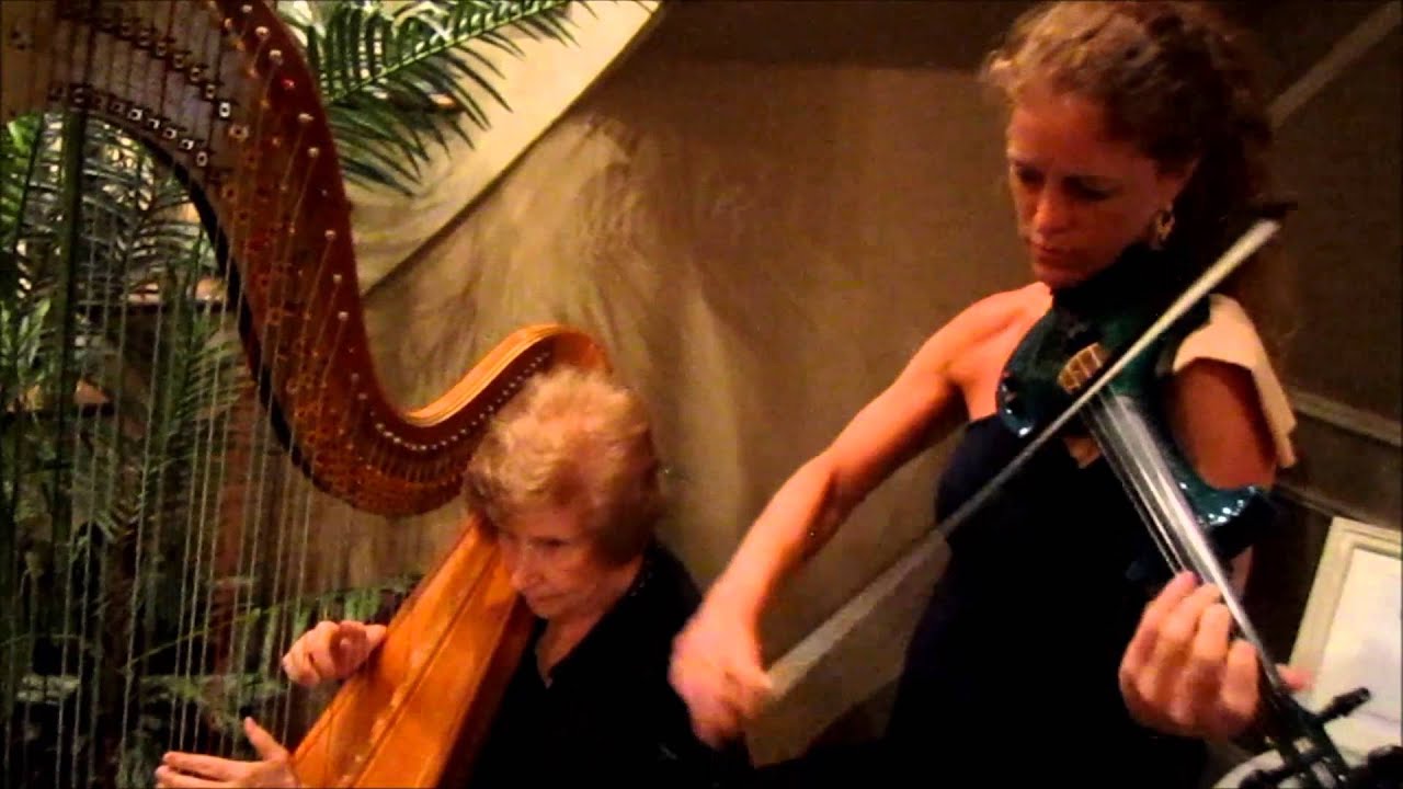Harp/Electric Violin Duo/Air,Wedding Ceremony Music,Entertainment