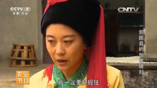 贫困县的创富媳妇【法制编辑部 20160210】