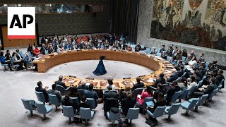U.N. Security Council calls for immediate cease-fire in Gaza