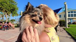 Insta360 Go2 Camera Test, Puppy Love Denise & Sweety Pie