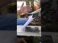 Mengasah pisau baja tubing. #asahpisau #shortvideo #sharpeningstone