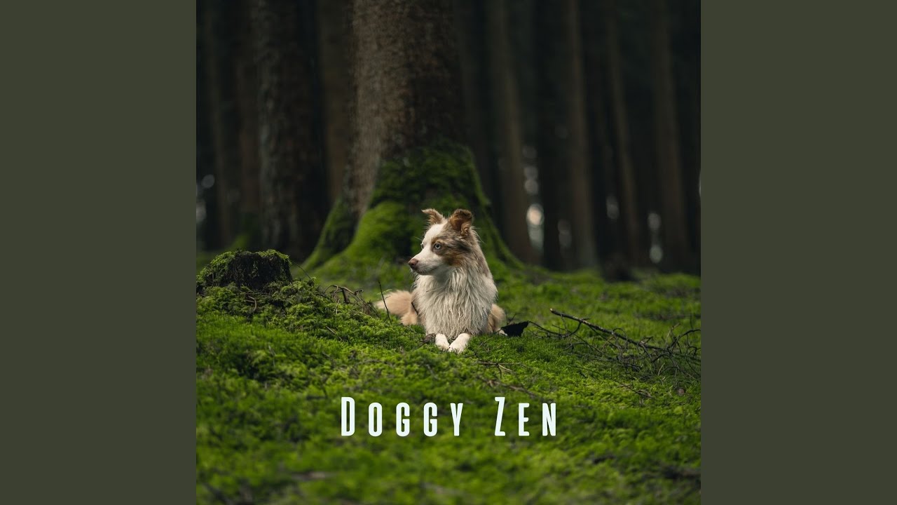 Calming Dog Symphony