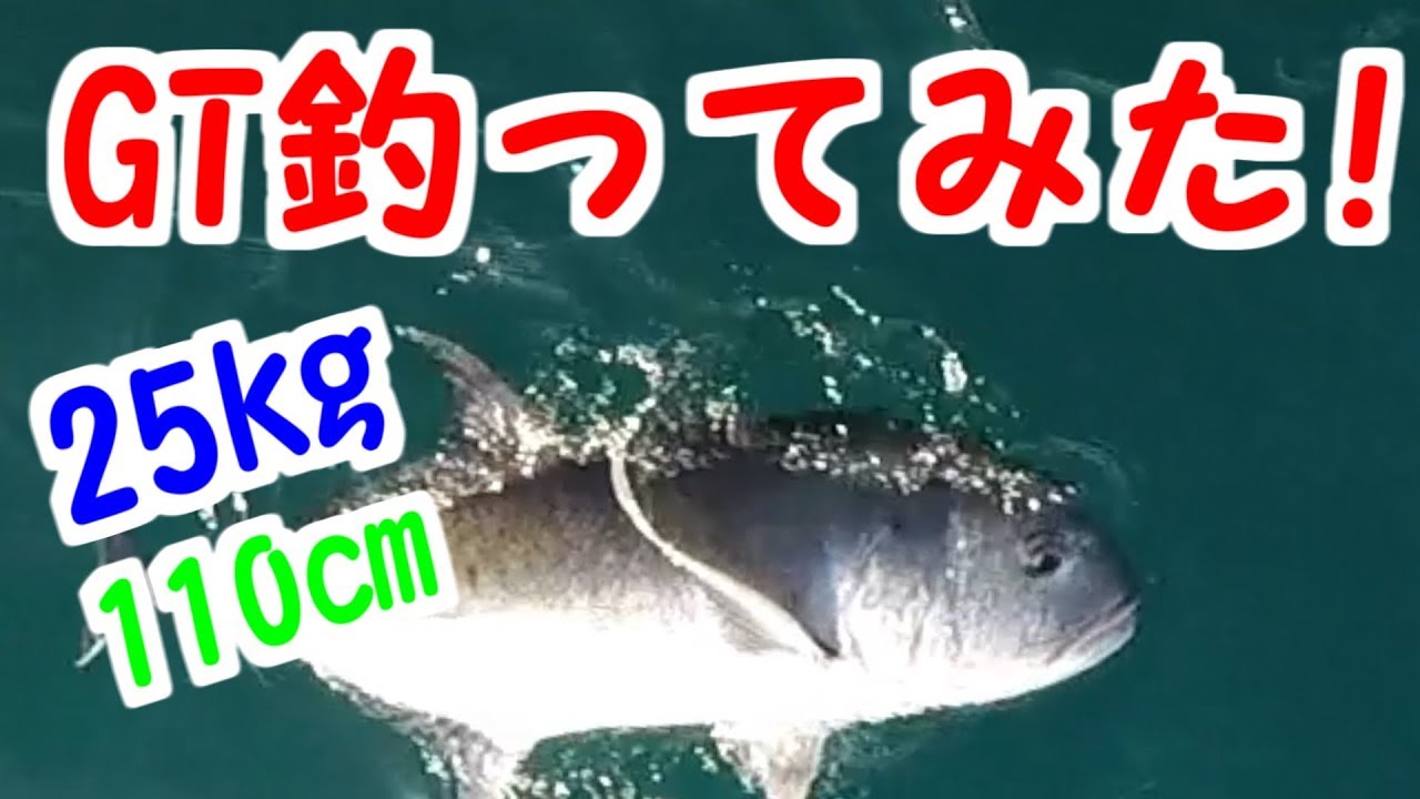 奄美大島街道 全編 ルシャ翁がゆく