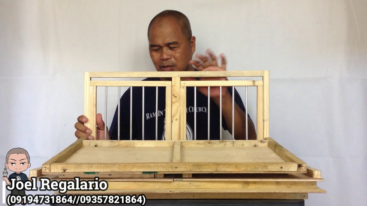 How to Assemble and Possible Use of Pigeon Widowhood Box YouTube