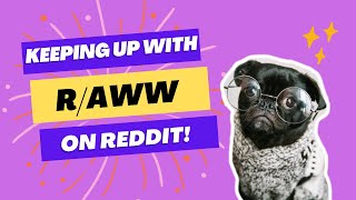 r/Aww - The cutest videos of Reddit #1