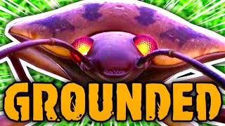 I Found An Easy Way To Kill Stink Bugs | Grounded 1.0