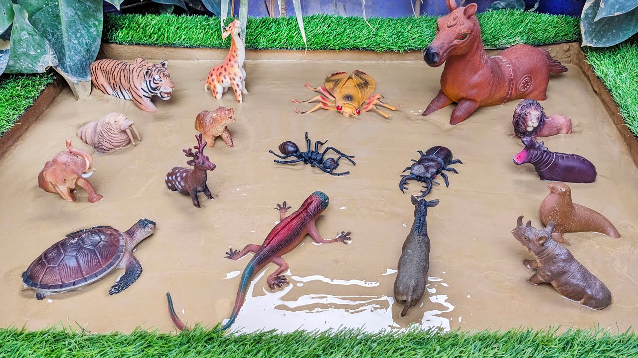 Brown Animals Expedition: Safari Animals and Insects Adventure for Toddlers 🌍🦓🐜