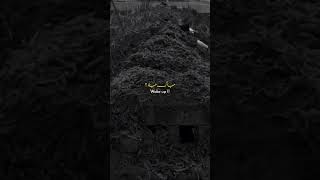 Jo Honga Dekha Jayega Kya Dekha Jayega Haji Imran Attari