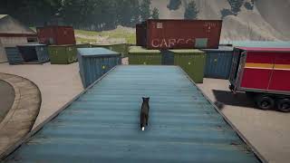 Cat Life - Jump ! (EN) screenshot 5