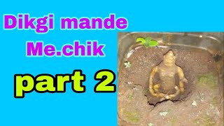 Dikgi Mande Me.chik Ba Bima